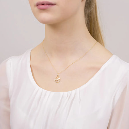 gold-pendant-zodiac-sign-capricorn-z371-585-koziorozec